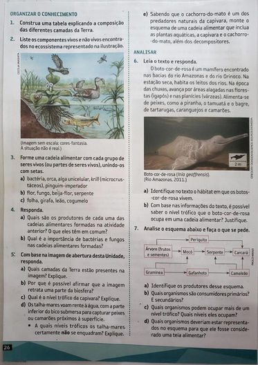 Exercícios 6º ano