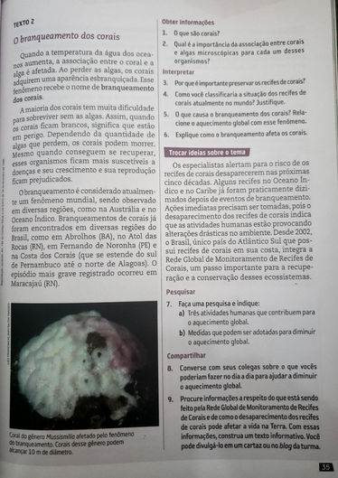 Atividade 6° ano