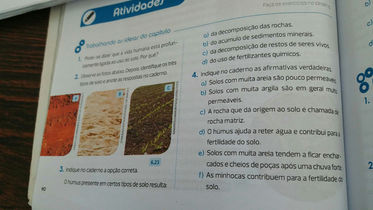 Exercícios de solo