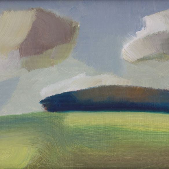 Shifting light on landscape