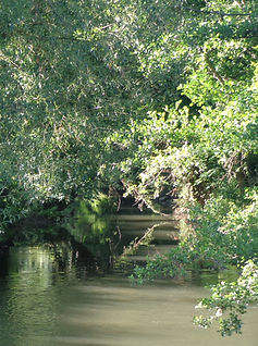 DSC07597_edited.jpg
