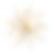 Golden Star Icon