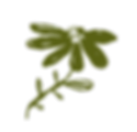 8.png