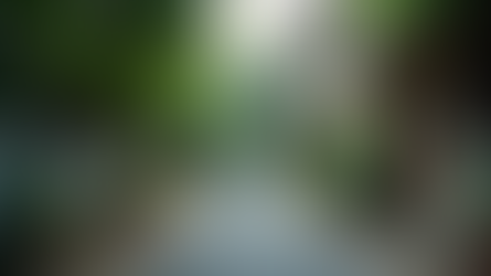 Exploring the Shift to Low-Density Developments for Families in Western Mumbai