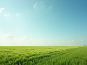 Is Investing in Land More Profitable Than Gold or Stocks?