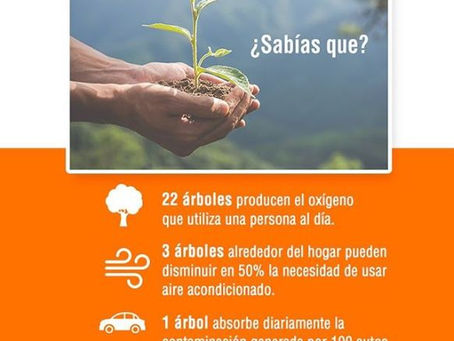 Se parte del cambio