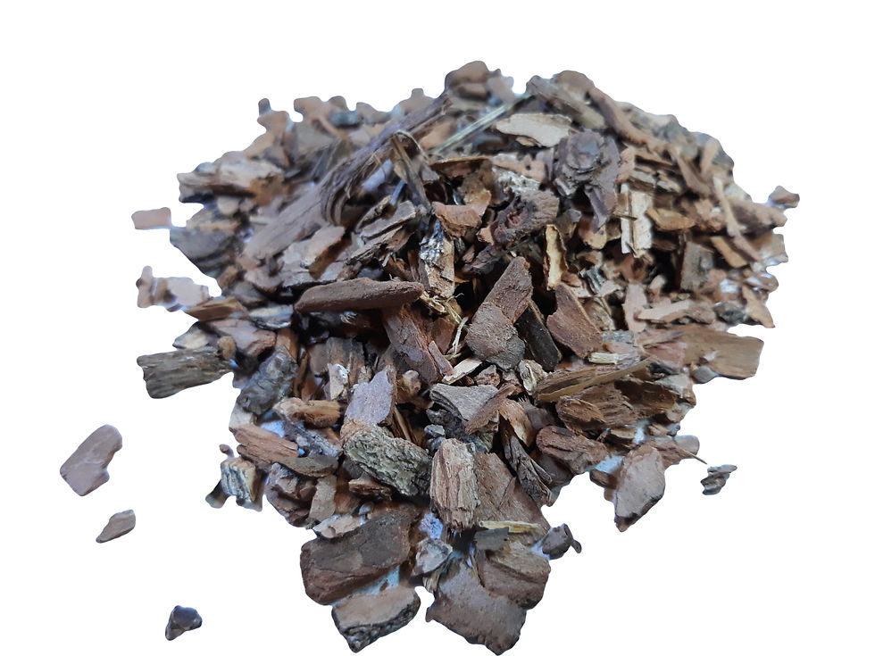 Sassafras  tree bark