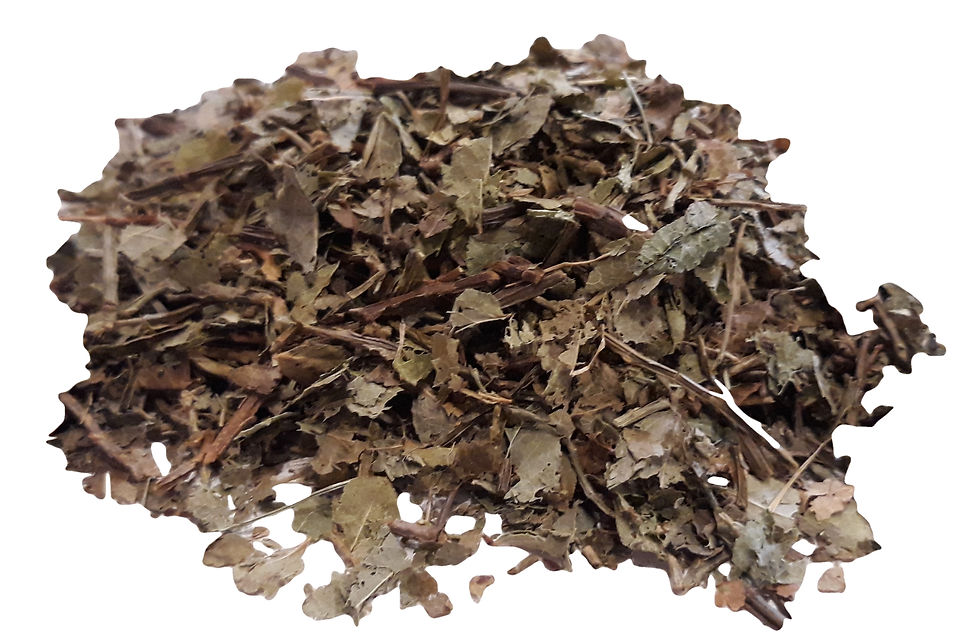 Bilberry leaves