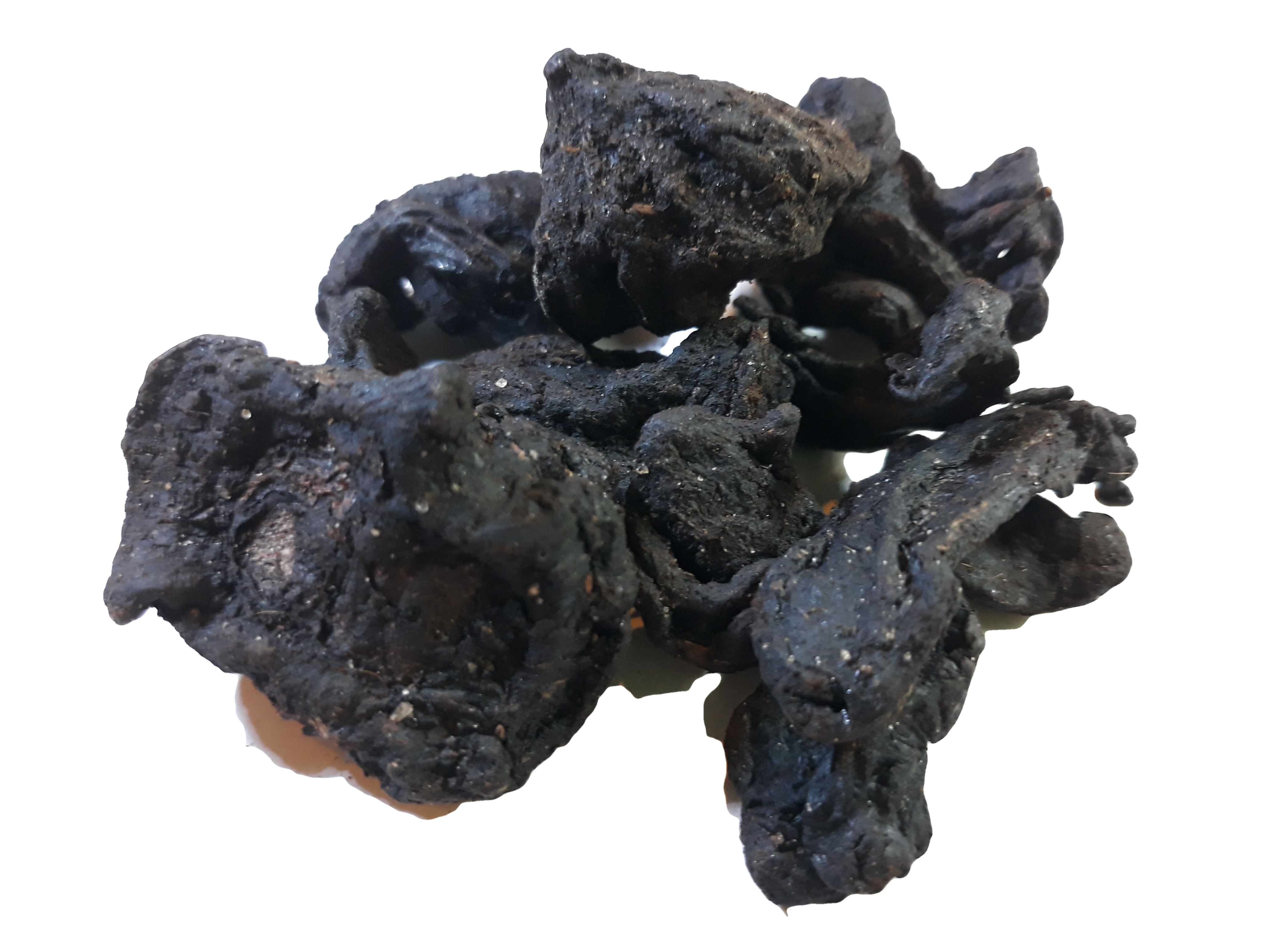 Garcinia cambogia fruit