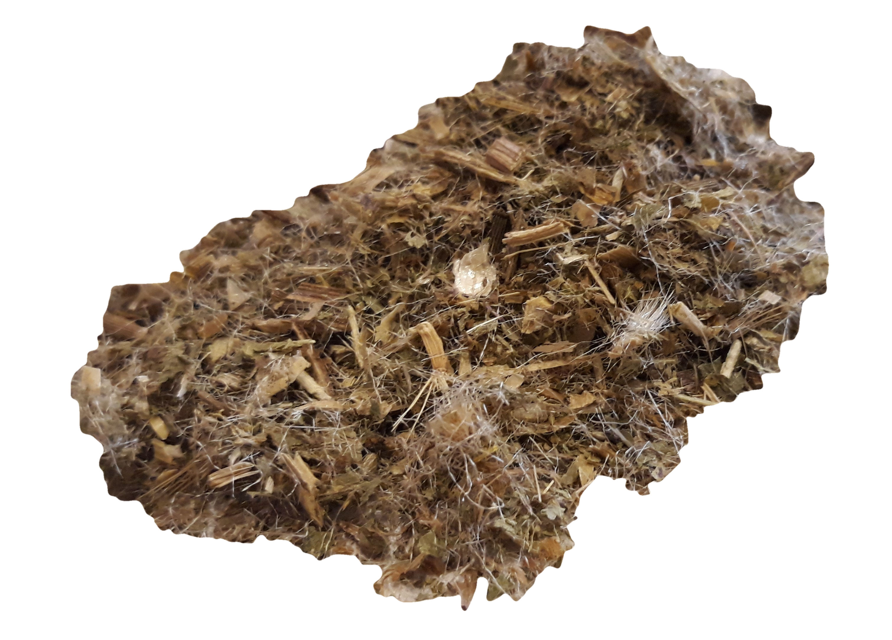 Blessed Thistle herb