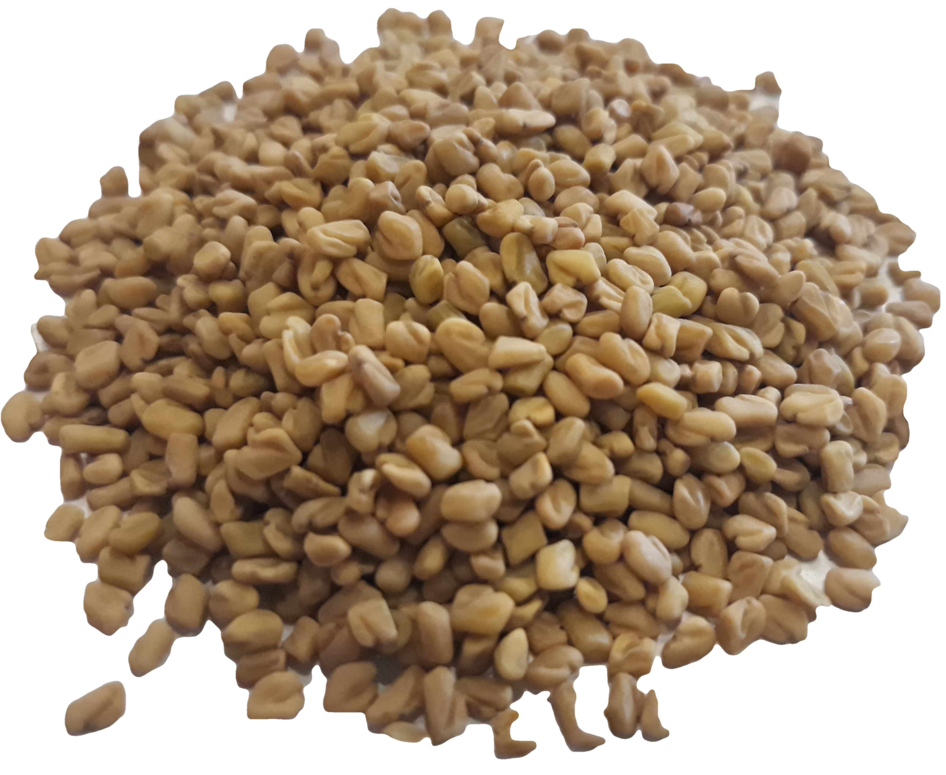 Fenugreek seed whole