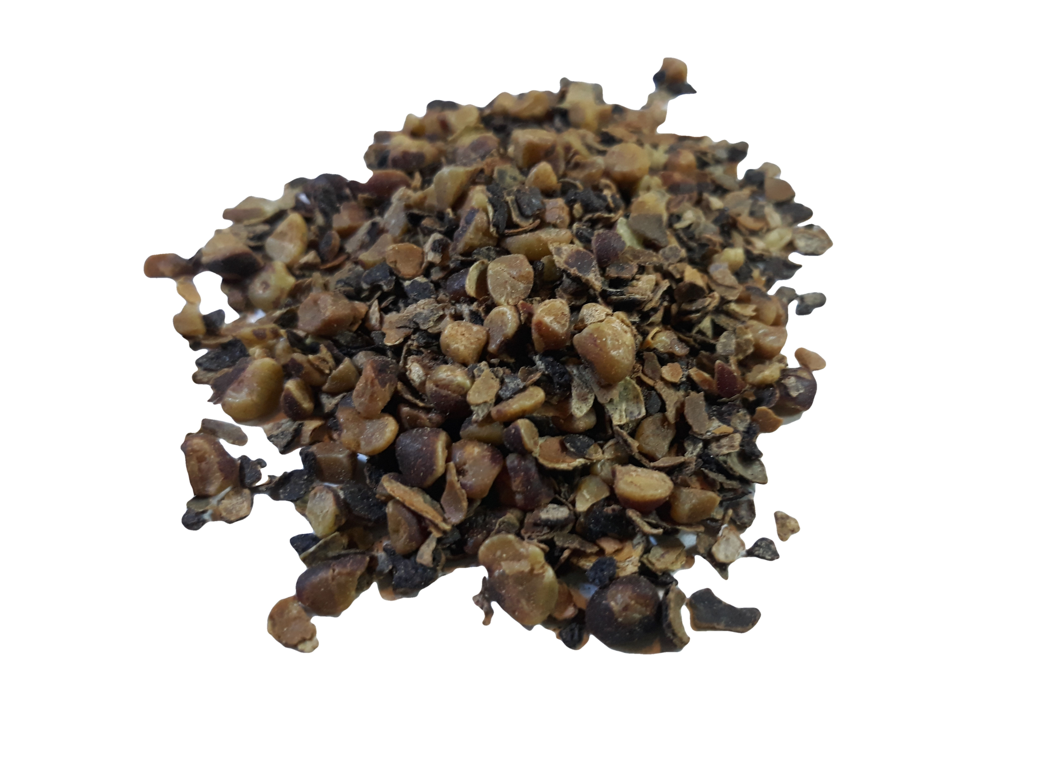 Saw Palmetto Berries