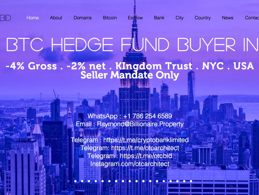 OTCbid - Bitcoin ‘could rise by 84 per cent’ in 2019