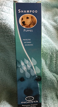 puppy_shampoo.jpg
