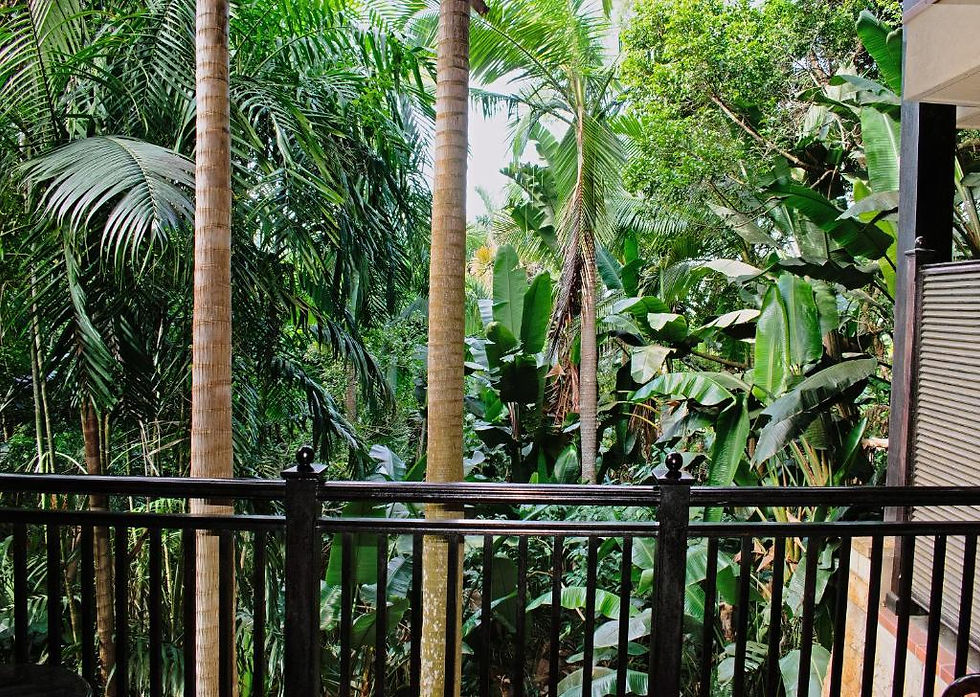 Thumbnail: ZIMBALI LODGE 2PAX