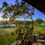 Thumbnail: NKAMBENI SAFARI CAMP