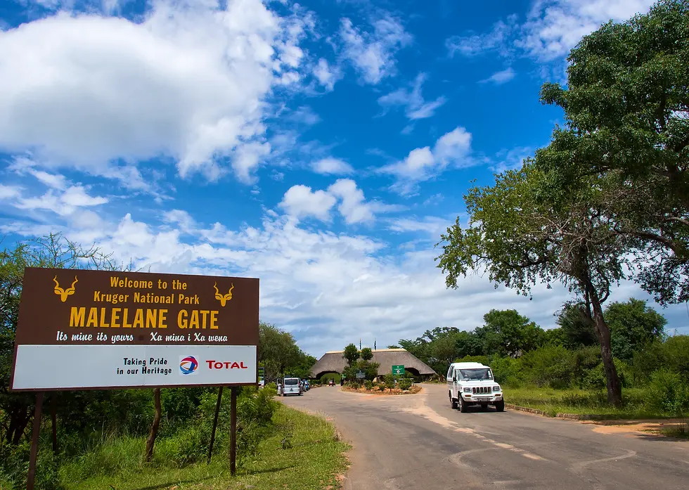 Thumbnail: KRUGER NATIONAL PARK 10
