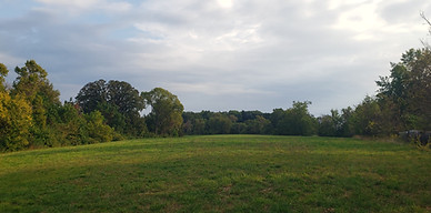 20251013_164214 (1).jpg