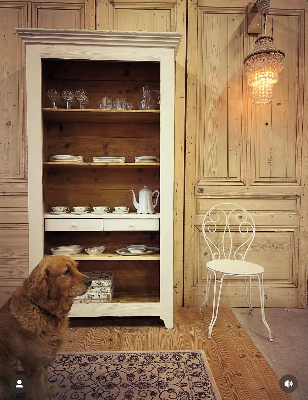 Vaisselier / bibliothèque 