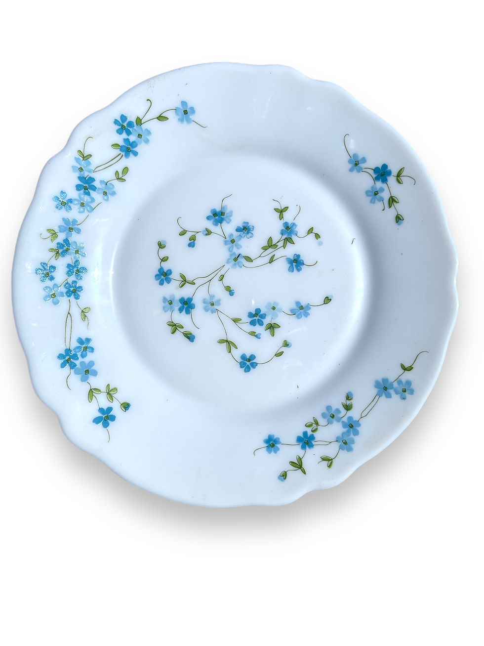 Miniature : Assiettes a dessert  myosotis de chez Arcopal 