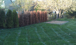 #12 Before view of upper yard