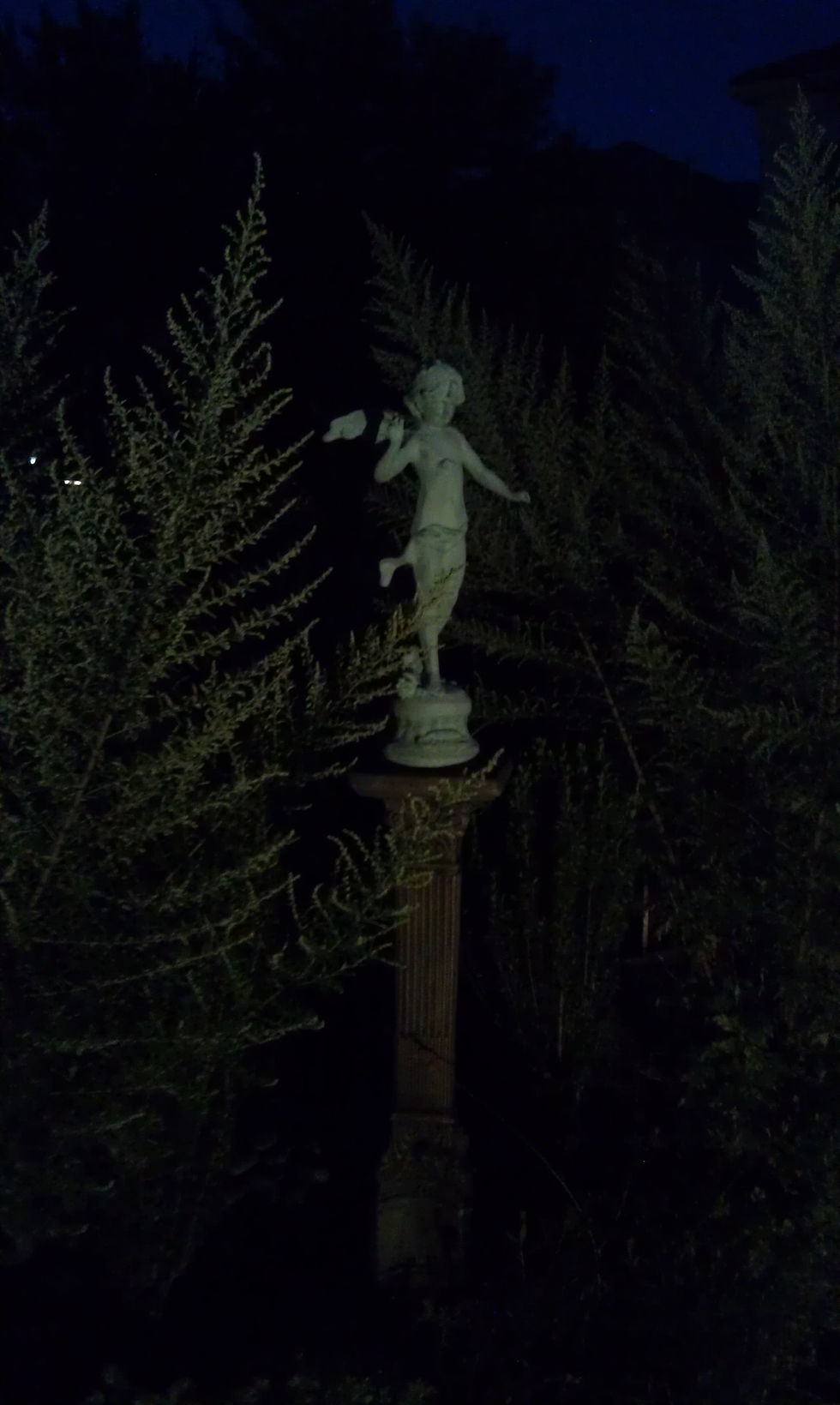 Landscape Lighting