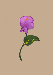 Untitled_Artwork 254.png