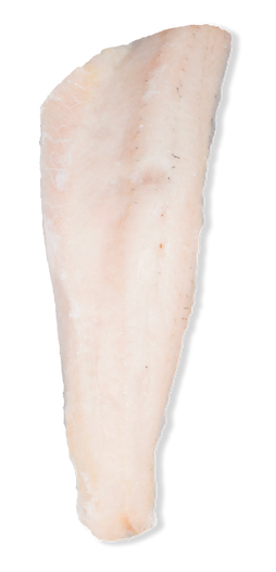 PNP single fillet.png