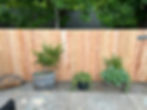 cedar dog ear privacy fence