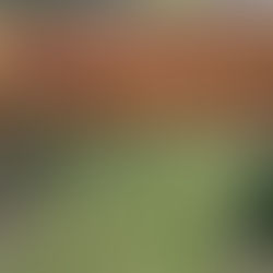 Pre stained cedar privacy fence with a top cap in Woodburn, OR