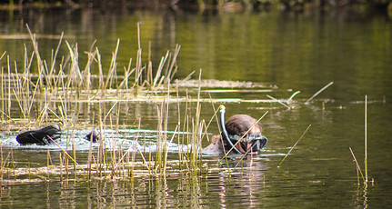 Renata Mazzei (3).jpg