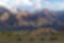 picCopy of IMG_0821.jpeg