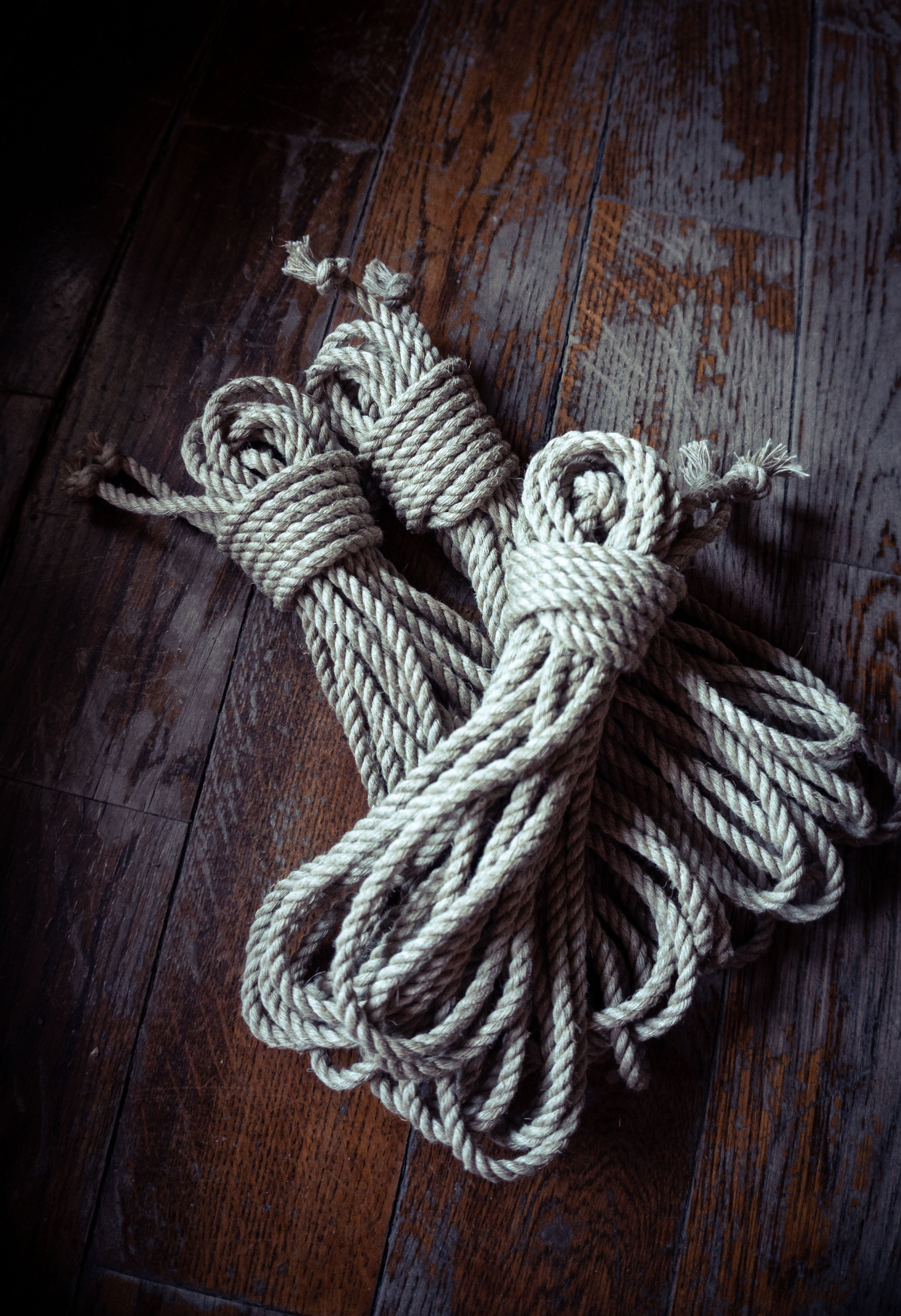 Starter set "SARI No.3" | 3 x 8 meters