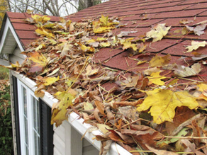 Ice Dams in the Pacific Northwest: Why Clean Gutters Matter