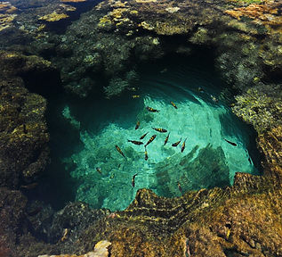 passeios-em-porto-de-galinhas