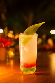 passeios-em-porto-de-galinhas