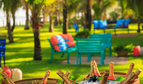 passeios-em-porto-de-galinhas