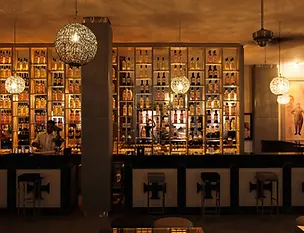 vila-gale-alagoas (60).webp