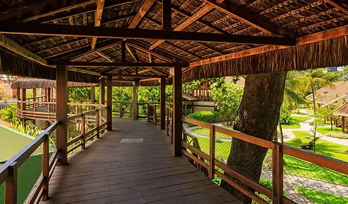 passeios-em-porto-de-galinhas