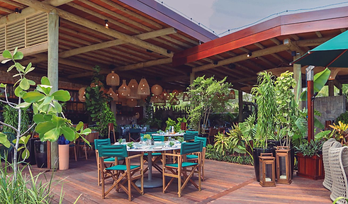 passeios-em-porto-de-galinhas