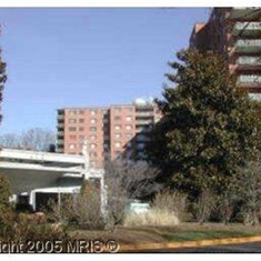 4201 Cathedral Ave. NW #524E Washington, DC 20016