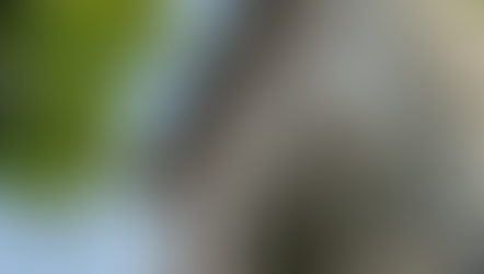 €150,000 | Chiusi Italy