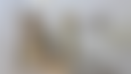 €135,000 | Cisternino Italy