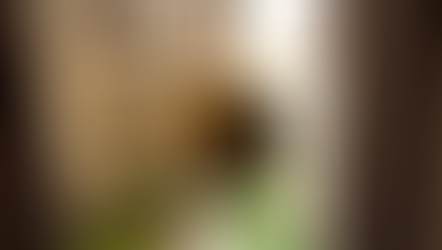 €79,000 | Atri, Teramo Italy