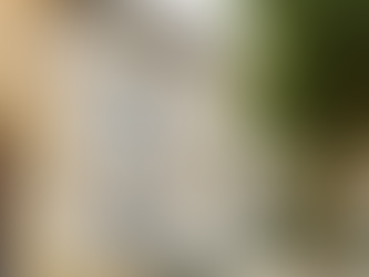 €145,000 | Limoux, Aude France