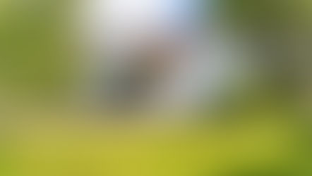 Bids around $274k (US) | BLOMSTERMÅLA, MÖNSTERÅS Sweden