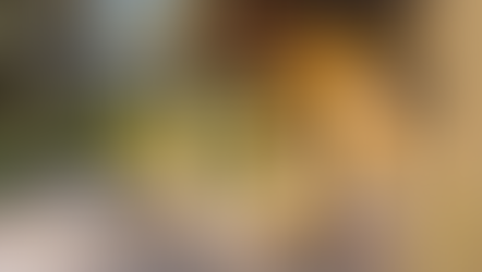 Rental: €600/mo | Tirrenia Italy