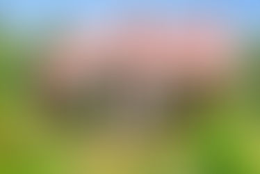 Swedish farmhouse with 27 acres starting around $157,000