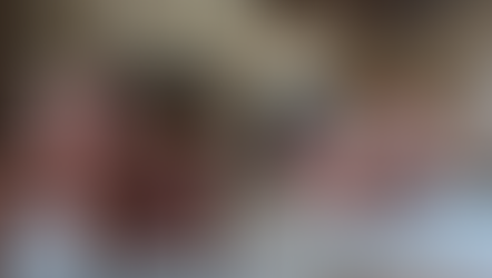 €169,500 | Lathus St Remy France