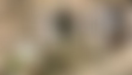 €145,000 | Najac France